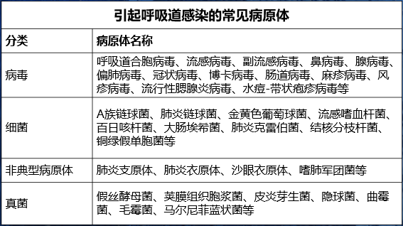 《中國新聞》兩會專刊：疫苗助力預(yù)防呼吸道傳染病...