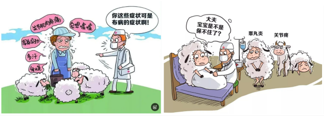 全國(guó)近7萬(wàn)“懶漢”，2024年中國(guó)內(nèi)地布病發(fā)病概況